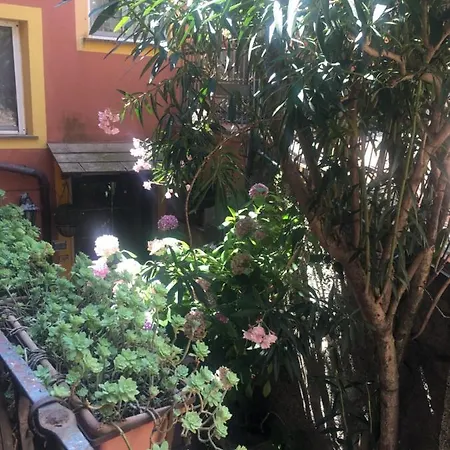 Fiordaliso *
