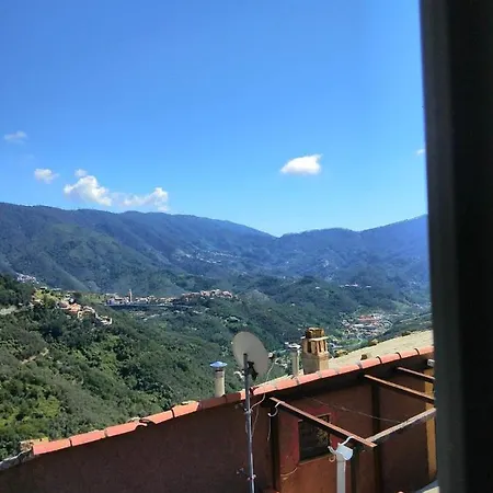 Fiordaliso * Montale (Liguria)