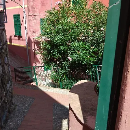 Fiordaliso *
