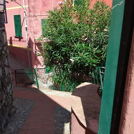 Fiordaliso *