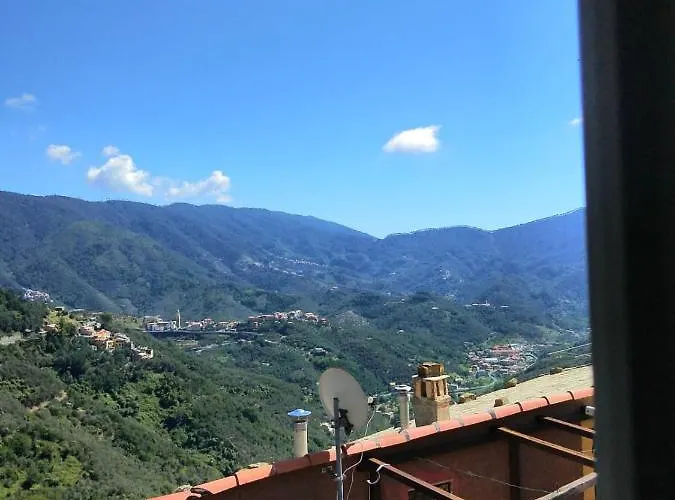 Fiordaliso * Montale (Liguria)