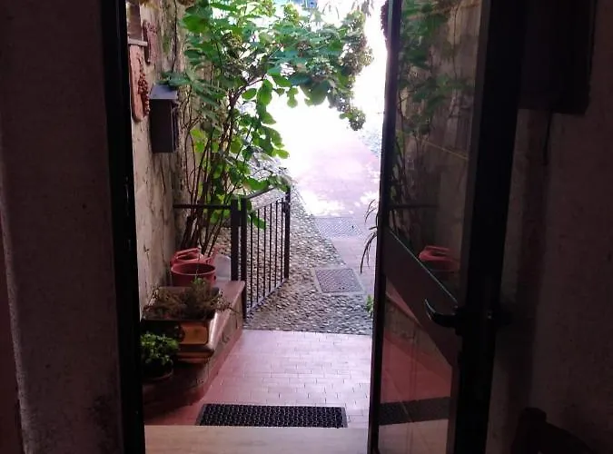 Fiordaliso *
